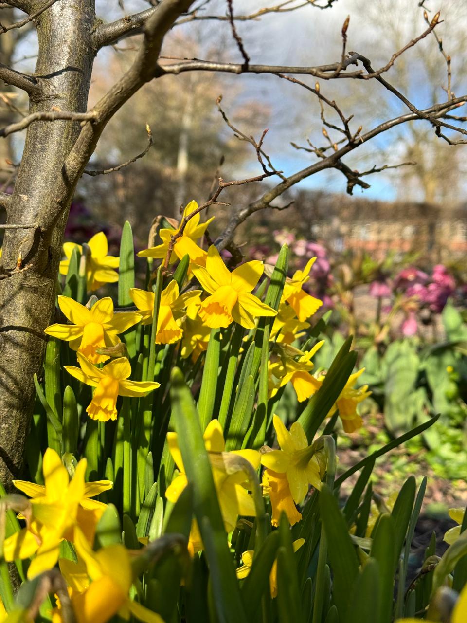 Lente bij de hospice