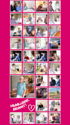 Dag van de Vrijwilliger - 7 dec. 2025 - afb. portrait