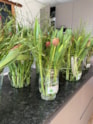 IMG-20260220-WA0005