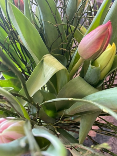 IMG-20260220-WA0006